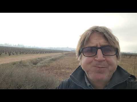 Видео: Путь Св.Иакова, этап 9:  Nájera - Santo Domingo de la Calzada. 11.02.2023. The Way of St.James, st.9
