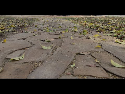 Видео: Дорожка из дикого камня без раствора и уровня