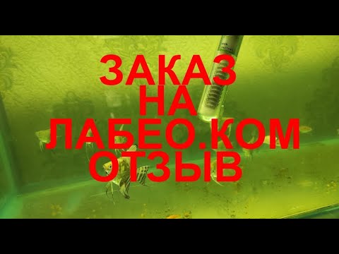 Видео: Отзыв про заказ на лабео.ком