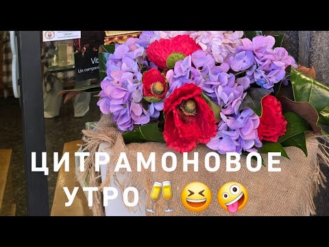 Видео: Утренний цитрамон🤣🥂🌸‼️☘️
