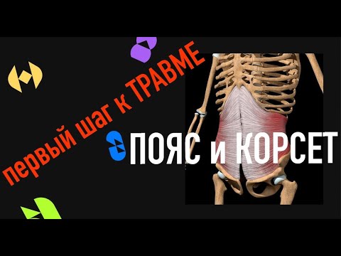 Видео: Пояс -   ИСПОЛЬЗОВАТЬ  нельзя  НЕИСПОЛЬЗОВАТЬ