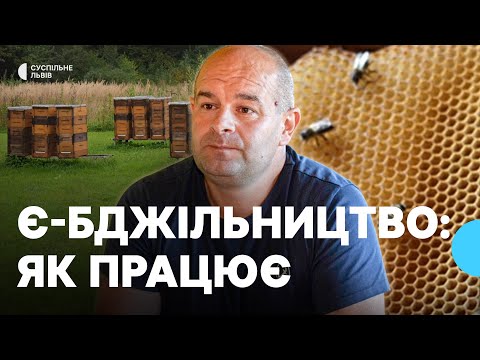 Видео: Новий електронний сервіс для бджолярів: що це і як працює