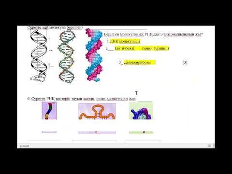 Видео: 10 сынып Биология пәні 1 тоқсан ТЖБ (жмб)