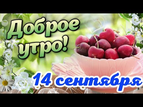 Видео: С Добрым Утречком! 🌺 Желаю прекрасного дня! Красивые пожелания Доброго Утра 🌸 Открытка