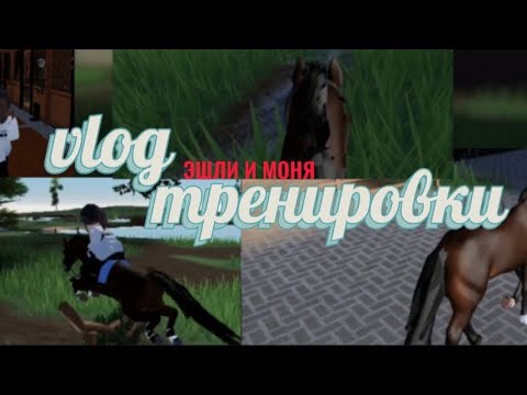 Видео: Влог от сестры//Эшли и Моня//тренировка?