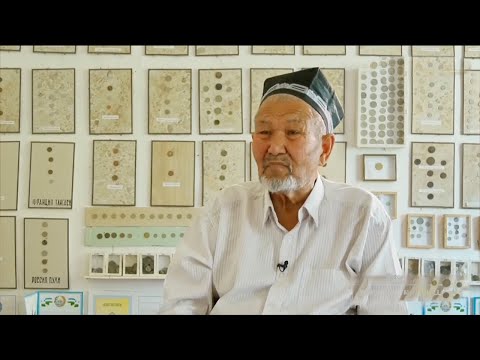 Видео: Бекободлик коллекционер Даврон ота хазинаси | Xazina