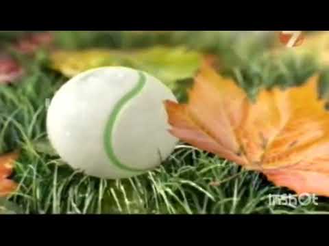 Видео: Все заставки 7тв мегафон 2009-2011 