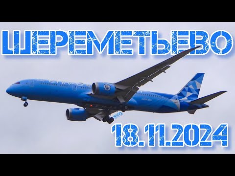 Видео: Споттинг в Шереметьево 18.11.2024