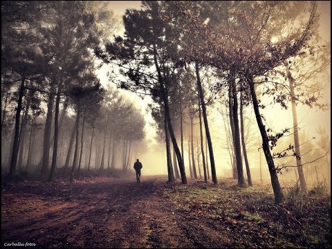 Видео: Осень в душе (инструментал Korg PA900) (авторская IgK)