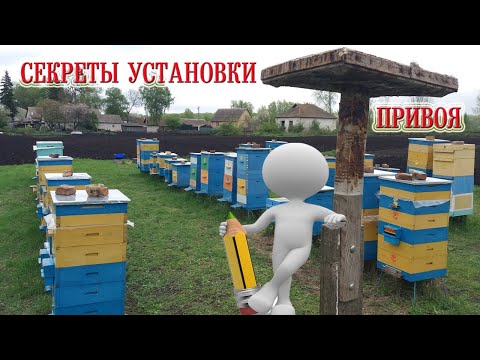 Видео: Секреты Установки Привоя!