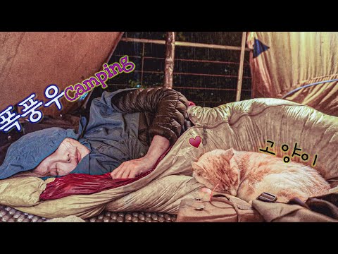 Видео: Переживание осенней бури (Подзаголовок: Спальный мешок с кошкой) + Дровяная печь / Кошка