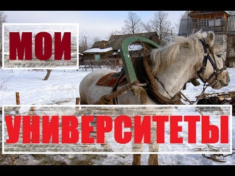 Видео: Мои университеты : откуда взялась мысль о переезде в деревню?