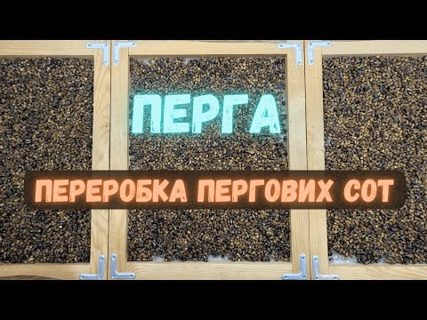 Видео: Перга. Переробка пергових сот. Як добути пергу з пергових сот?