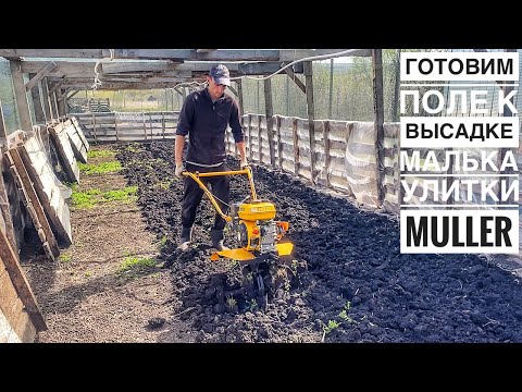 Видео: Как подготовить поле для улитки🐌 Вспашка и посев травы🍀Начало Сезона 2024 на Улиточной Ферме