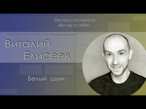 Видео: Беседа "Белый шум" / Виталий Елисеев