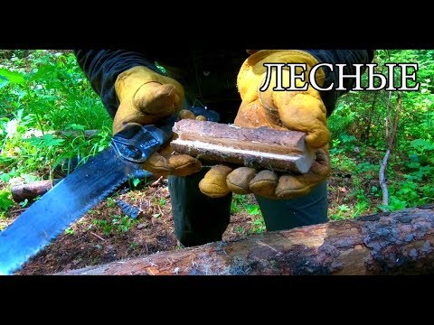 Видео: 7 ПРОСТЫХ СОВЕТОВ ДЛЯ ЛЕСА | 7 BUSHCRAFT TIPS