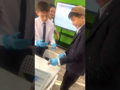Видео: 8-сыныпка арналган сабак биология пәні Stem білім беру