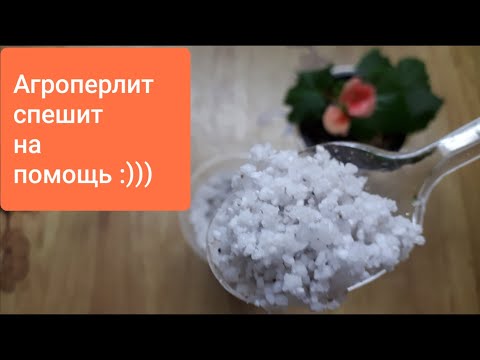 Видео: Зачем нужен агроперлит. Как применять агроперлит. Польза от агроперлита