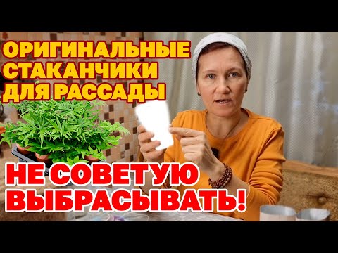 Видео: СЕКРЕТ КРЕПКОЙ РАССАДЫ В МУСОРЕ ЧТО ВЛИЯЕТ НА РАЗВИТИЕ КОРНЕВОЙ СИСТЕМЫ @obovsemsmarusya