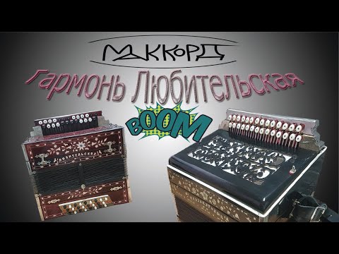 Видео: BOOOM!!!! Гармони Любительские Ремонт трех гармоней #гармонь #баян #shortvideo #баянист #гармошка