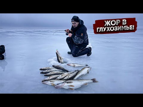 Видео: Коряжник возле СВАЛА ЗАБИТ РЫБОЙ! СЕКРЕТНОЕ место НА ГОРЬКОВСКОМ водохранилище!