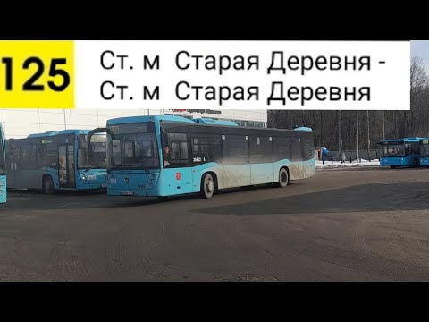 Видео: Автобус 125. Ст. м. Старая Деревня - Ст. м. Старая Деревня (Кольцевой)