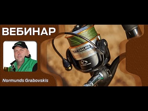 Видео: Вебинар "Фидерные удилища TEAM SALMO" - ведущий Нормундс Грабовскис