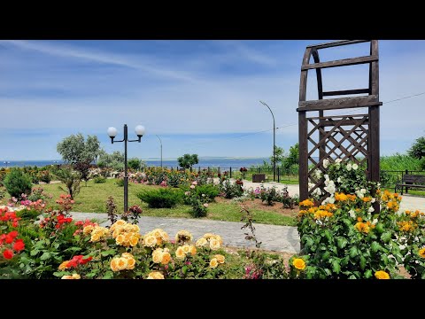 Видео: Курорт #Сенной. - #Голубицкая. Во что превратили это место. Показываю всю правду.