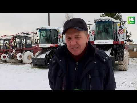 Видео: Туган җир 13/11/2020