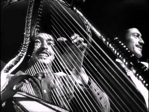 Видео: Кина не будет! (монтаж Е.Астахова)