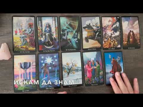 Видео: Имате потребност от любов♥️  #таро #тароонлайн #тарогадание #тароотношения