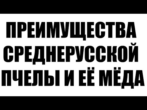 Видео: ПРЕИМУЩЕСТВА СРЕДНЕРУССКОЙ ПЧЕЛЫ И ЕЁ МЁДА