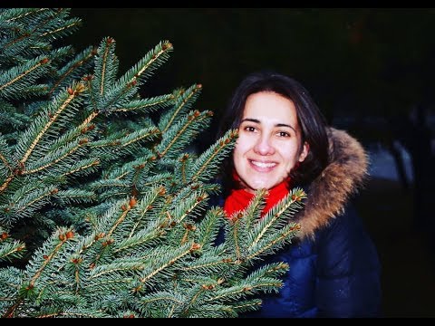 Видео: #3 Неходжкинская лимфома стадия 3А. дополнение к видео №2. Советую посмотреть.