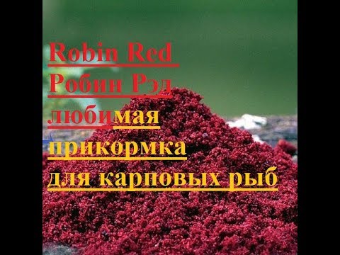 Видео: Робин рэд карповая прикормка для рыбалки рецепт на кухне Robin Red