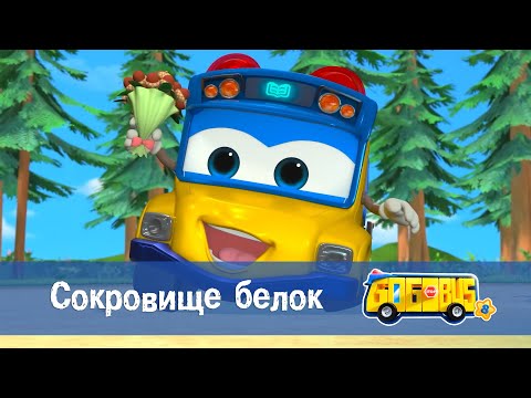 Видео: 🚌Школьный автобус Гордон. Сезон 8 - Серия 2.Сокровище белок - Мультфильм