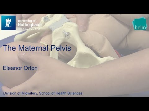 Видео: Таз матери