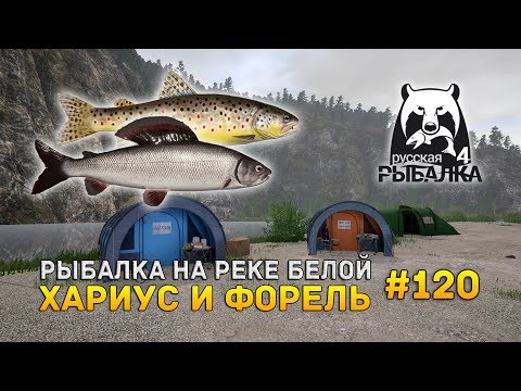 Видео: Русская Рыбалка 4 #120 - Рыбалка на реке Белой. Хариус и Форель