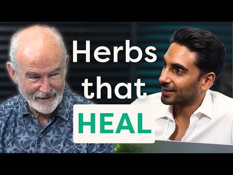 Видео: Куркума, имбирь и корица: повседневные лекарства на вашей кухне | Саймон Миллс