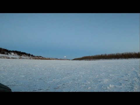 Видео: Первый лёд. Рыбалка на налима. 16.10.2024