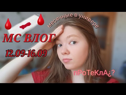 Видео: МС ВЛОГ за сентябрь🩸