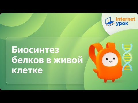 Видео: Биология 9 класс. Биосинтез белков в живой клетке