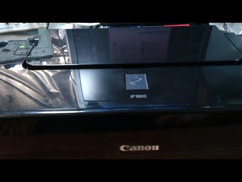 Видео: Как сбросить уровень чернил на принтере Canon