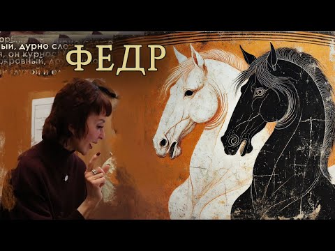 Видео: Кони | Диалог Федр | семинар 10