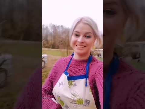 Видео: ДОМАШНЯЯ ЗАГАТОВКА БЕРЁЗОВОГО СОКА🍃