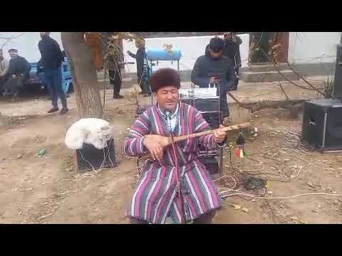 Видео: Сурхандарё вилоят Олтинсой туманидан Бобокул бахши