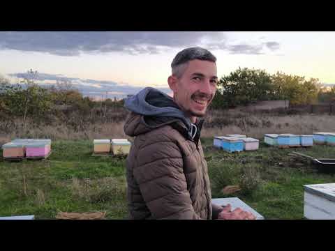 Видео: Что делать с слабыми пчелосемьями ?