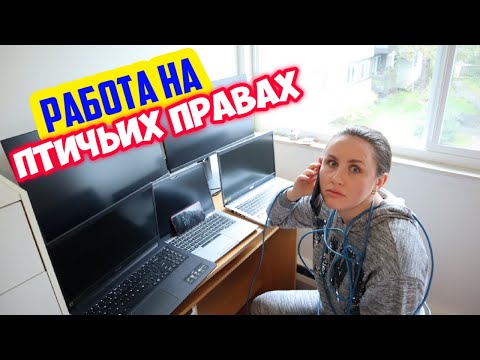 Видео: Моя первая работа в Канаде. Не могу пройти интервью