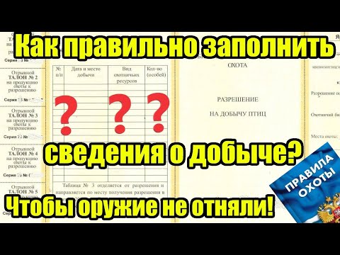 Видео: Как и когда правильно заполнять сведения о добыче на охоте?