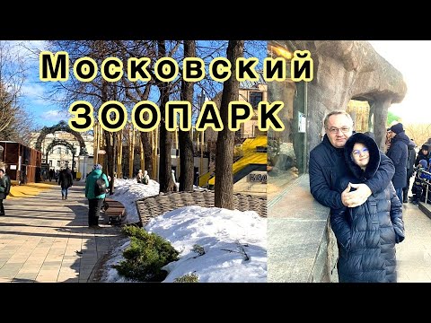 Видео: Московский зоопарк. Где погулять в Москве?