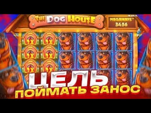 Видео: СНОВА ДЕПНУЛ 100К В СОБАК И СЛОВИЛ ХОРОШУЮ ПОЛЯНУ ВИДОВ | THE DOG HOUSE MEGAWAYS ЗАНОСЫ НЕДЕЛИ